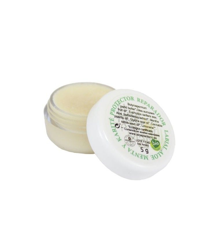 protector-labial-aloe-vera-verano