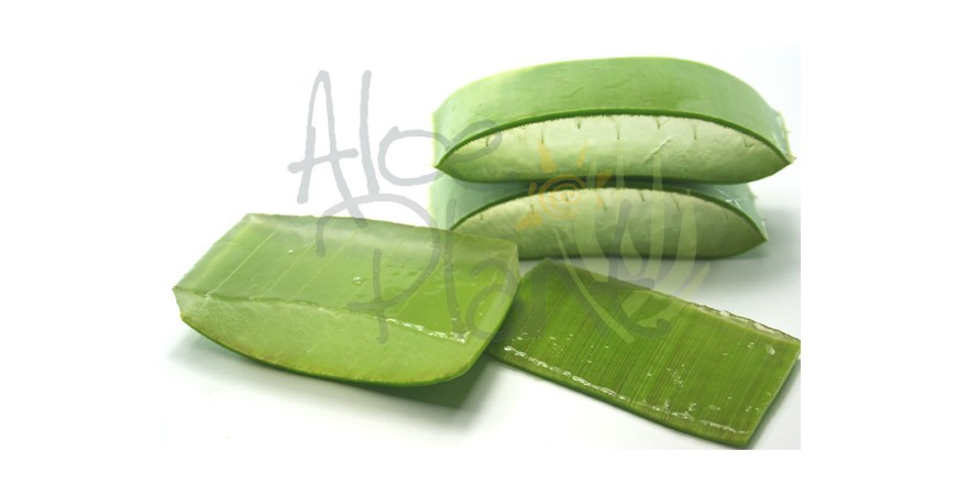 BENEFICIOS DE INGERIR ALOE VERA