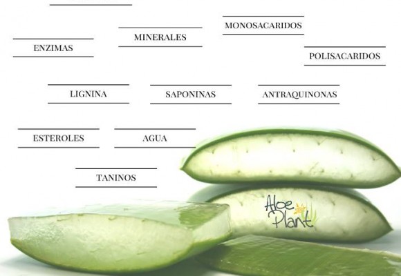 SUPERALIMENTO ALOE VERA